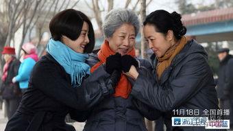 老有所依全集在线观看,岁月流转，亲情永恒  第1张